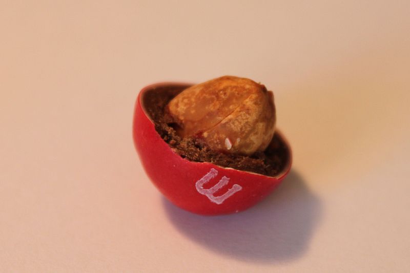 800px-briacmonniermms4