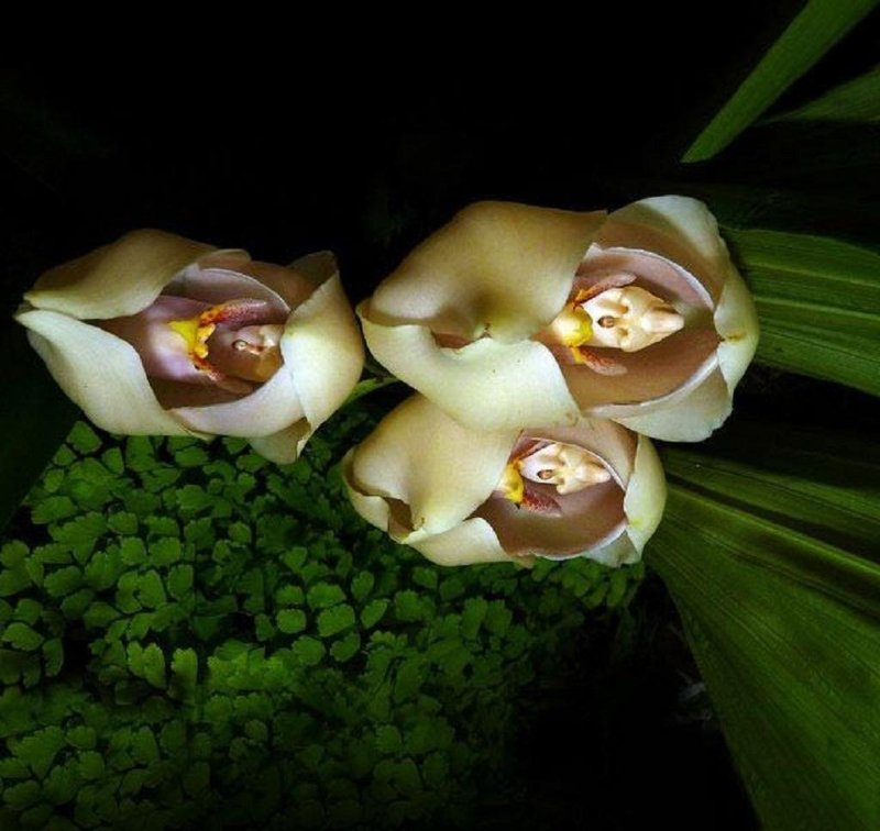 aaeaaqaaaaaaaaxdaaaajdezy2iyzdbhltuxnwytndc0zi05yjg5ltyxmmywmdk1ztaxnw