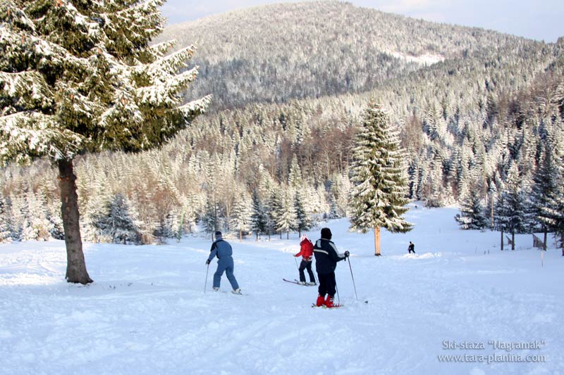 ski-staza-nagramak-tara-02