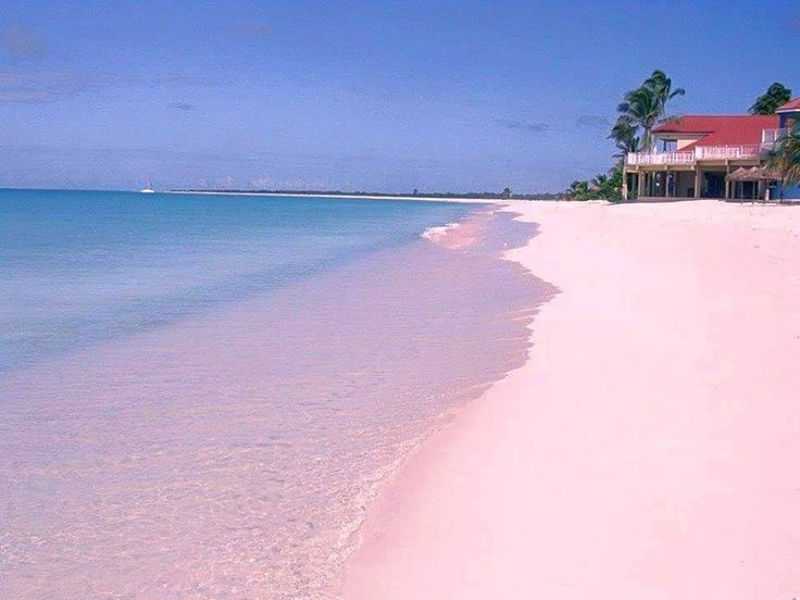 bahami