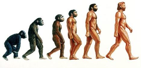 Human evolution.  Illustration showing stages in the evolution of humans. At left, proconsul (23-15 million years ago) is depicted hypothetically as an African ape with both primitive and advanced features. From it Australopithecus afarensis (>4- 2.5 Myr BP) evolved and displayed a bipedal, upright gait walking on two legs. Homo habilis (2.5 Myr BP) was truly human ("homo") resembling Australopithecus but also used stone tools. About 1.5 Myr BP Homo erectus (at centre) appeared in Africa, used fire, wooden tools, and migrated from Africa into Eurasia. Homo neanderthalensis (200,000 years BP) lived in Europe and Middle East and was closely related to modern humans (right).