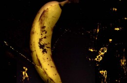 banana_naslovna